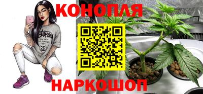 круглые Бийск